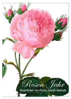 Rosen-Jahr (Wandkalender 2024 DIN A2 hoch), CALVENDO Monatskalender von Layout Babette Reek,  bilwissedition, 