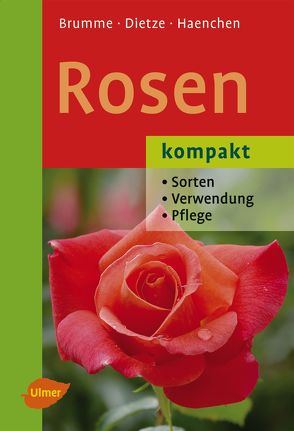 Rosen kompakt von Brumme,  Hella, Dietze,  Peter, Haenchen,  Eckart