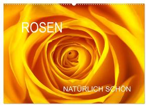 Rosen natürlich schön (Wandkalender 2024 DIN A2 quer), CALVENDO Monatskalender von Jäger,  Anette/Thomas