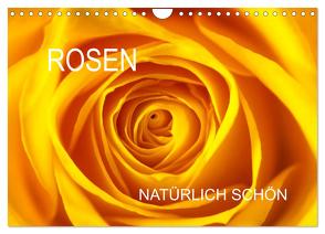 Rosen natürlich schön (Wandkalender 2024 DIN A4 quer), CALVENDO Monatskalender von Jäger,  Anette/Thomas