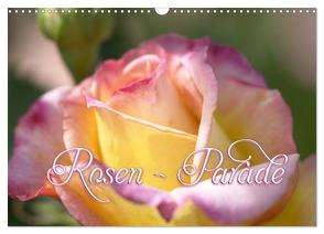 Rosen – Parade (Wandkalender 2024 DIN A3 quer), CALVENDO Monatskalender von Barig,  Joachim