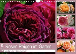 Rosen Reigen im Garten (Wandkalender 2019 DIN A4 quer) von Cross,  Martina