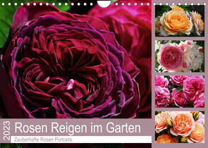 Rosen Reigen im Garten (Wandkalender 2023 DIN A4 quer) von Cross,  Martina