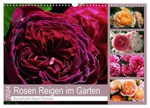 Rosen Reigen im Garten (Wandkalender 2024 DIN A3 quer), CALVENDO Monatskalender von Cross,  Martina