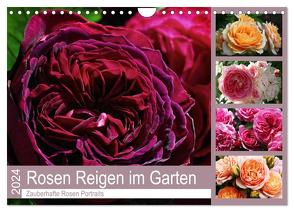 Rosen Reigen im Garten (Wandkalender 2024 DIN A4 quer), CALVENDO Monatskalender von Cross,  Martina