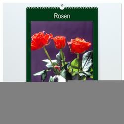 Rosen – Symbol der Liebe und Verehrung (hochwertiger Premium Wandkalender 2024 DIN A2 hoch), Kunstdruck in Hochglanz von Reupert,  Lothar