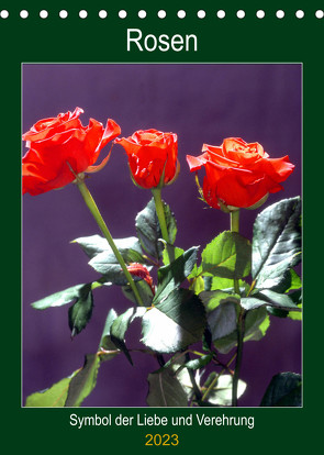 Rosen – Symbol der Liebe und Verehrung (Tischkalender 2023 DIN A5 hoch) von Reupert,  Lothar
