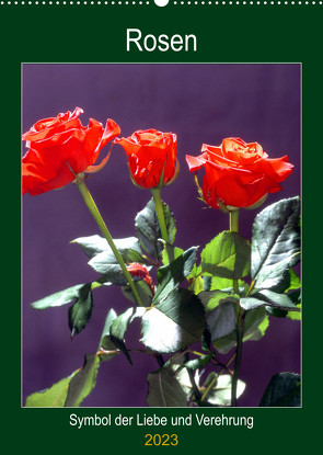 Rosen – Symbol der Liebe und Verehrung (Wandkalender 2023 DIN A2 hoch) von Reupert,  Lothar