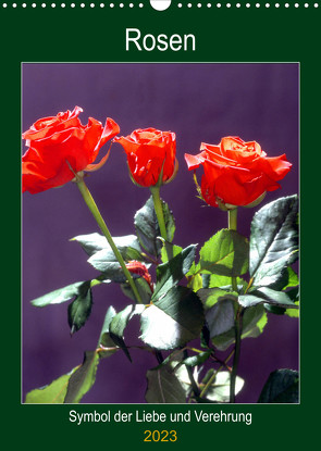 Rosen – Symbol der Liebe und Verehrung (Wandkalender 2023 DIN A3 hoch) von Reupert,  Lothar