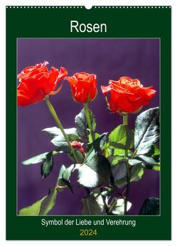 Rosen – Symbol der Liebe und Verehrung (Wandkalender 2024 DIN A2 hoch), CALVENDO Monatskalender von Reupert,  Lothar