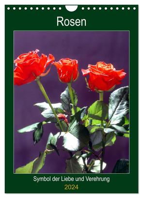 Rosen – Symbol der Liebe und Verehrung (Wandkalender 2024 DIN A4 hoch), CALVENDO Monatskalender von Reupert,  Lothar