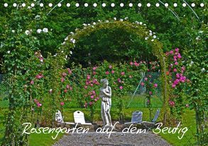 Rosengarten auf dem Beutig (Tischkalender 2019 DIN A5 quer) von Schimon,  Claudia