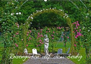 Rosengarten auf dem Beutig (Wandkalender 2019 DIN A2 quer) von Schimon,  Claudia