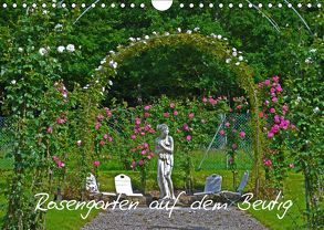 Rosengarten auf dem Beutig (Wandkalender 2019 DIN A4 quer) von Schimon,  Claudia