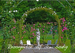 Rosengarten auf dem Beutig (Wandkalender 2020 DIN A2 quer) von Schimon,  Claudia