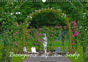 Rosengarten auf dem Beutig (Wandkalender 2020 DIN A3 quer) von Schimon,  Claudia