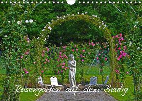 Rosengarten auf dem Beutig (Wandkalender 2020 DIN A4 quer) von Schimon,  Claudia