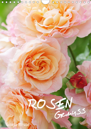 Rosengenuss (Wandkalender 2019 DIN A4 hoch) von Kruse,  Gisela