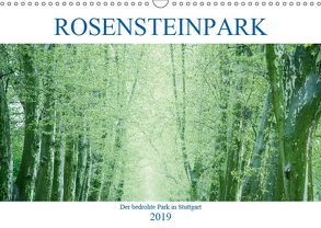 Rosensteinpark – Der bedrohte Park in Stuttgart (Wandkalender 2019 DIN A3 quer) von Allgaier,  Herb
