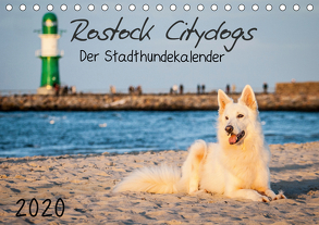 Rostock Citydogs – Der Stadthundekalender (Tischkalender 2020 DIN A5 quer) von Langer,  Jill