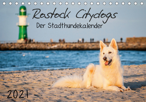 Rostock Citydogs – Der Stadthundekalender (Tischkalender 2021 DIN A5 quer) von Langer,  Jill