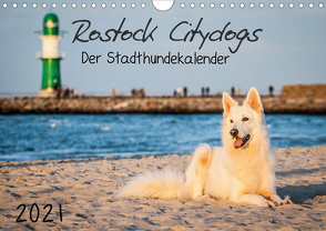Rostock Citydogs – Der Stadthundekalender (Wandkalender 2021 DIN A4 quer) von Langer,  Jill