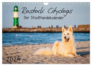 Rostock Citydogs – Der Stadthundekalender (Wandkalender 2024 DIN A4 quer), CALVENDO Monatskalender von Langer,  Jill