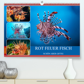 Rot Feuer Fisch (hochwertiger Premium Wandkalender 2024 DIN A2 quer), Kunstdruck in Hochglanz von Gödecke,  Dieter