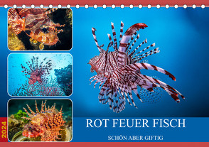 Rot Feuer Fisch (Tischkalender 2024 DIN A5 quer), CALVENDO Monatskalender von Gödecke,  Dieter