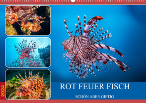 Rot Feuer Fisch (Wandkalender 2024 DIN A2 quer), CALVENDO Monatskalender von Gödecke,  Dieter