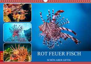 Rot Feuer Fisch (Wandkalender 2024 DIN A3 quer), CALVENDO Monatskalender von Gödecke,  Dieter