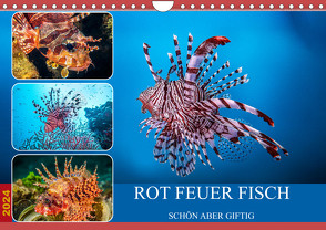 Rot Feuer Fisch (Wandkalender 2024 DIN A4 quer), CALVENDO Monatskalender von Gödecke,  Dieter