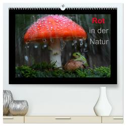 Rot in der Natur (hochwertiger Premium Wandkalender 2024 DIN A2 quer), Kunstdruck in Hochglanz von Bachmeier,  Günter