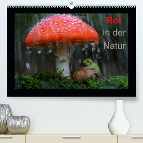 Rot in der Natur (Premium, hochwertiger DIN A2 Wandkalender 2021, Kunstdruck in Hochglanz) von Bachmeier,  Günter