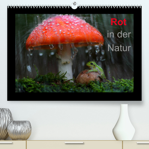 Rot in der Natur (Premium, hochwertiger DIN A2 Wandkalender 2022, Kunstdruck in Hochglanz) von Bachmeier,  Günter