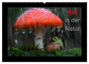 Rot in der Natur (Wandkalender 2024 DIN A2 quer), CALVENDO Monatskalender von Bachmeier,  Günter