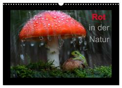 Rot in der Natur (Wandkalender 2024 DIN A3 quer), CALVENDO Monatskalender von Bachmeier,  Günter