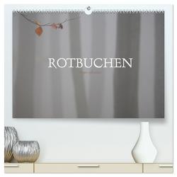 Rotbuchen (hochwertiger Premium Wandkalender 2024 DIN A2 quer), Kunstdruck in Hochglanz von Weise,  Ralf