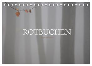 Rotbuchen (Tischkalender 2024 DIN A5 quer), CALVENDO Monatskalender von Weise,  Ralf