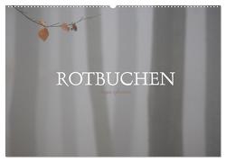 Rotbuchen (Wandkalender 2024 DIN A2 quer), CALVENDO Monatskalender von Weise,  Ralf