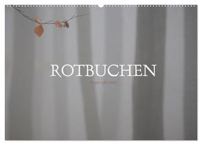 Rotbuchen (Wandkalender 2024 DIN A2 quer), CALVENDO Monatskalender von Weise,  Ralf