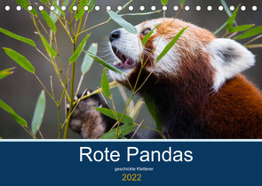 Rote Pandas – geschickte Kletterer (Tischkalender 2022 DIN A5 quer) von the Snow Leopard,  Cloudtail