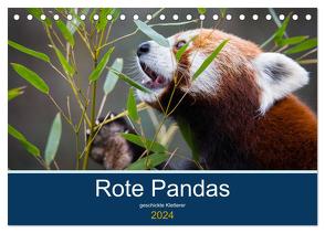 Rote Pandas – geschickte Kletterer (Tischkalender 2024 DIN A5 quer), CALVENDO Monatskalender von the Snow Leopard,  Cloudtail