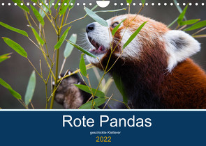 Rote Pandas – geschickte Kletterer (Wandkalender 2022 DIN A4 quer) von the Snow Leopard,  Cloudtail