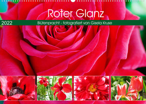 Roter Glanz Blütenpracht (Wandkalender 2022 DIN A2 quer) von Kruse,  Gisela