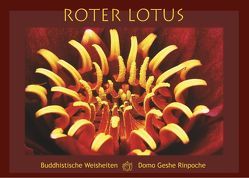 Roter Lotus von Rinpoche,  Domo Geshe