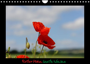 Roter Mohn, bunte Wiesen (Wandkalender 2023 DIN A4 quer) von Nordstern