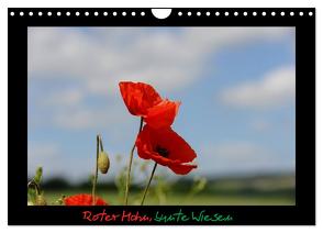 Roter Mohn, bunte Wiesen (Wandkalender 2024 DIN A4 quer), CALVENDO Monatskalender von Nordstern,  Nordstern