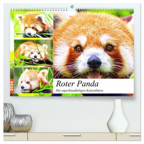 Roter Panda. Die superknuddeligen Katzenbären (hochwertiger Premium Wandkalender 2024 DIN A2 quer), Kunstdruck in Hochglanz von Hurley,  Rose