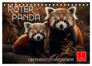 Roter Panda – gefährdeter Katzenbär (Tischkalender 2024 DIN A5 quer), CALVENDO Monatskalender von Roder,  Peter